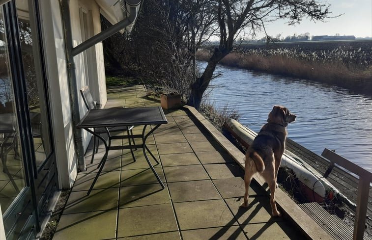 Natuurhuisje in Zeerijp