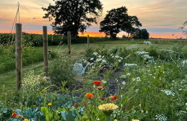 Natuurhuisje in Rotstergaast