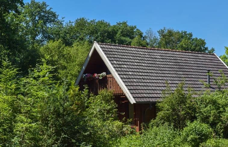 Natuurhuisje in Winterswijk