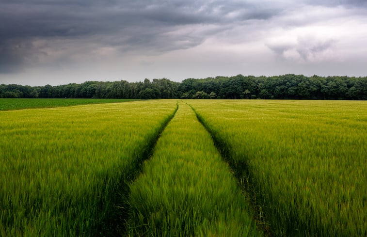 Natuurhuisje in Schoonloo