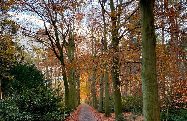 Natuurhuisje in Bergen op Zoom