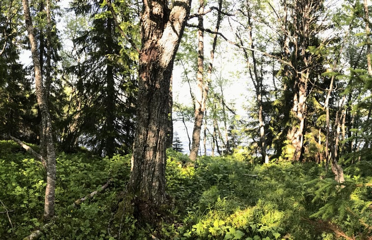 Natuurhuisje in Järpen