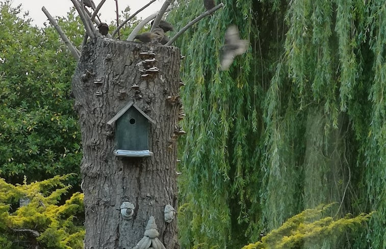 Natuurhuisje in Goor