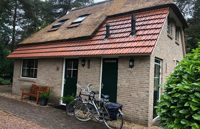 Natuurhuisje in Beerze