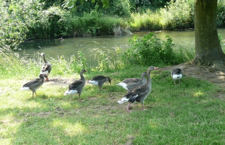 Natuurhuisje in Meppen