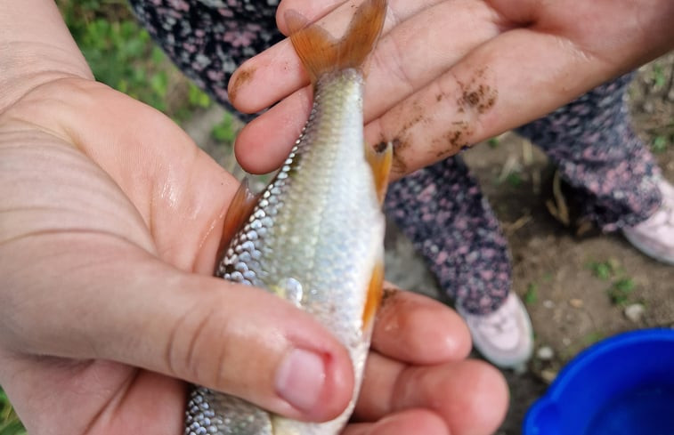 Natuurhuisje in Genderen