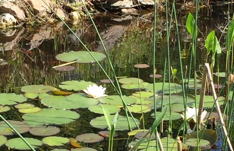 Natuurhuisje in Genk