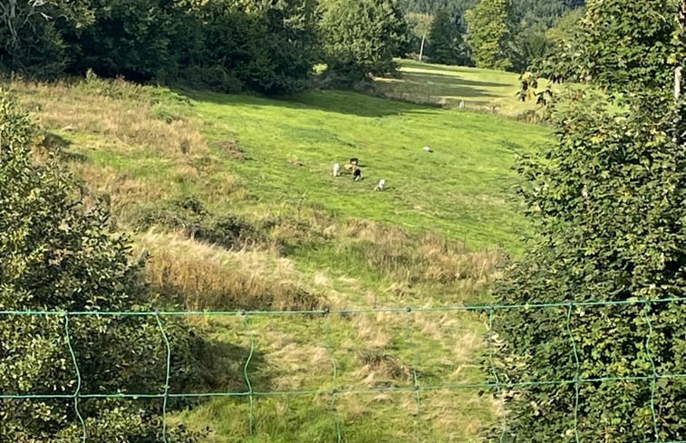 Natuurhuisje in anould