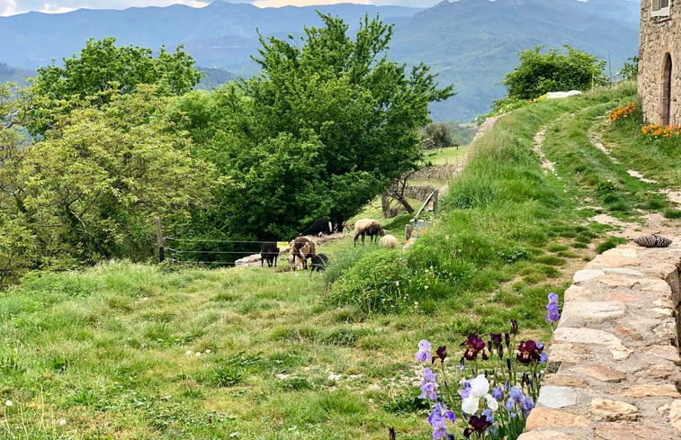 Natuurhuisje in Vals-les-Bains