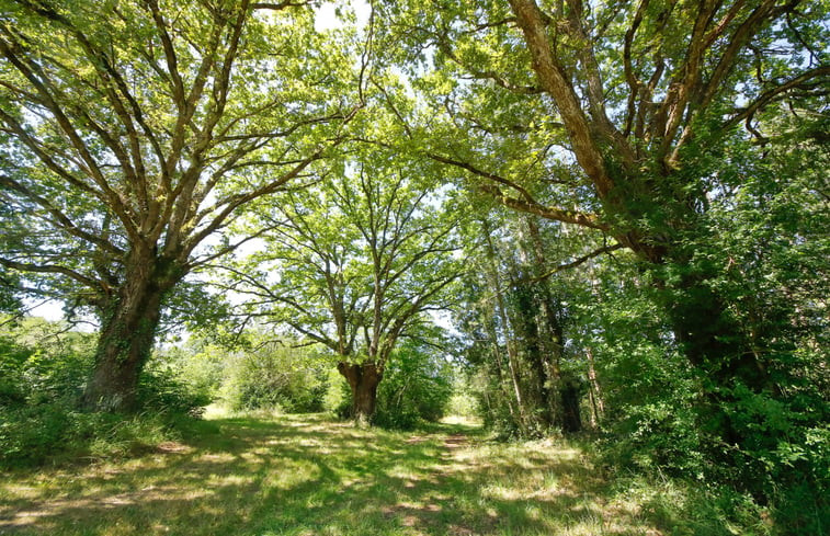 Natuurhuisje in Saint Plaisir