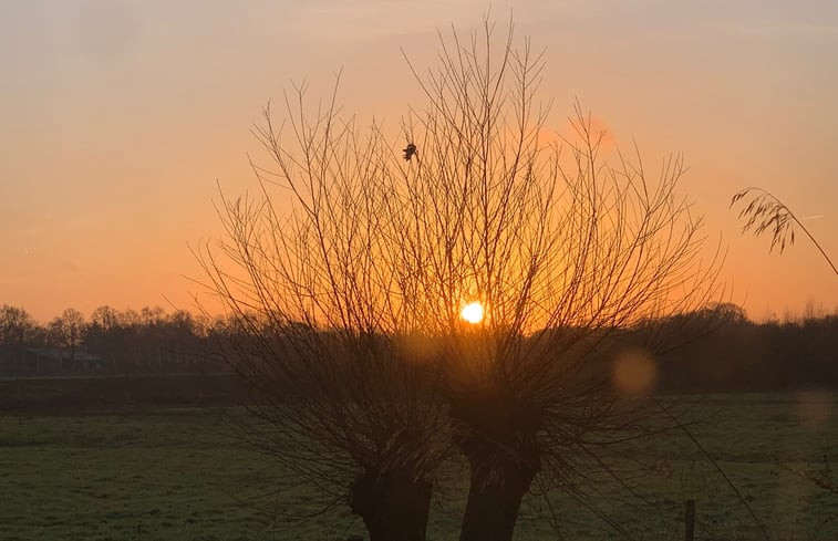 Natuurhuisje in Vught