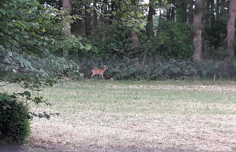 Natuurhuisje in Dalfsen