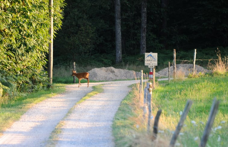 Natuurhuisje in Jumilhac le Grand