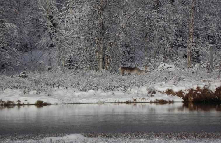 Natuurhuisje in Blattnicksele