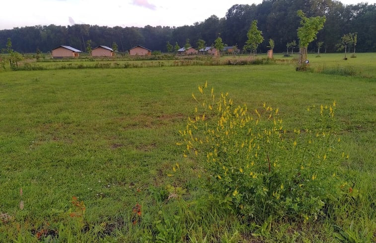 Natuurhuisje in Rucphen