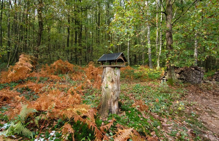 Natuurhuisje in Viroinval