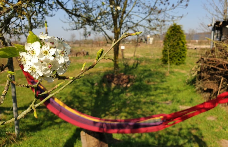 Natuurhuisje in Nederweert