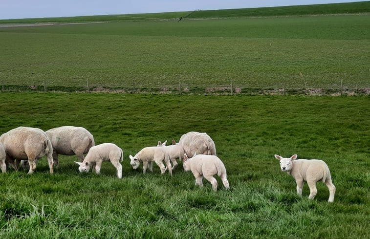 Natuurhuisje in Westhoek