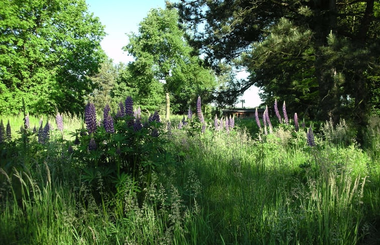 Natuurhuisje in Olmen