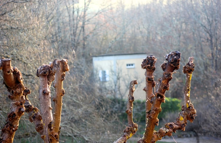 Natuurhuisje in Veyrines de Domme