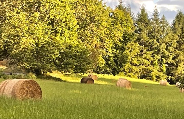 Natuurhuisje in Châteauneuf-la-forêt