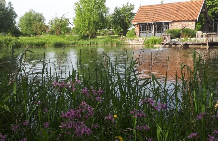 Natuurhuisje in Zarren