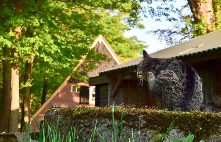 Natuurhuisje in Diepenheim