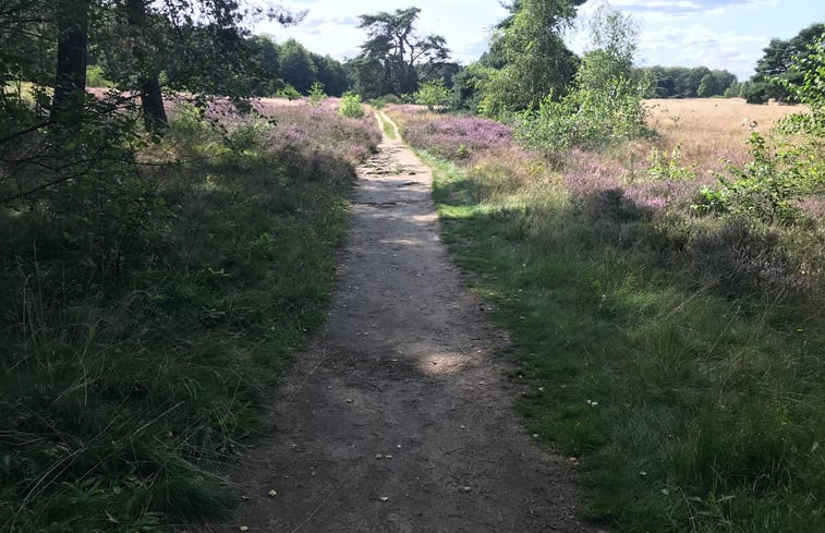 Natuurhuisje in Markelo