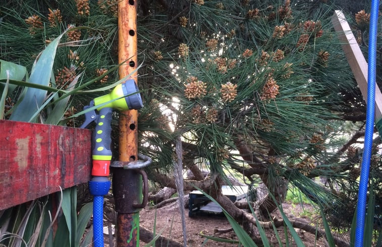 Natuurhuisje in Casais da Azoia (Cabo Espichel)