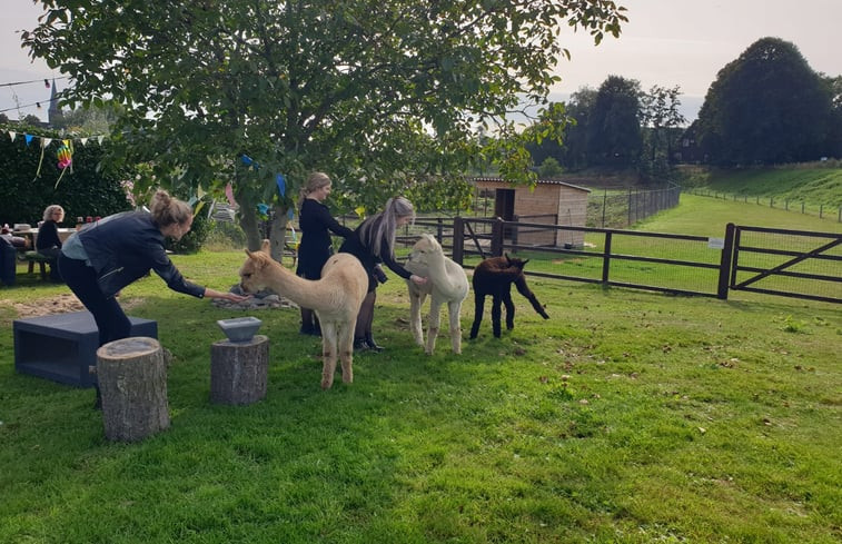 Natuurhuisje in Nederasselt