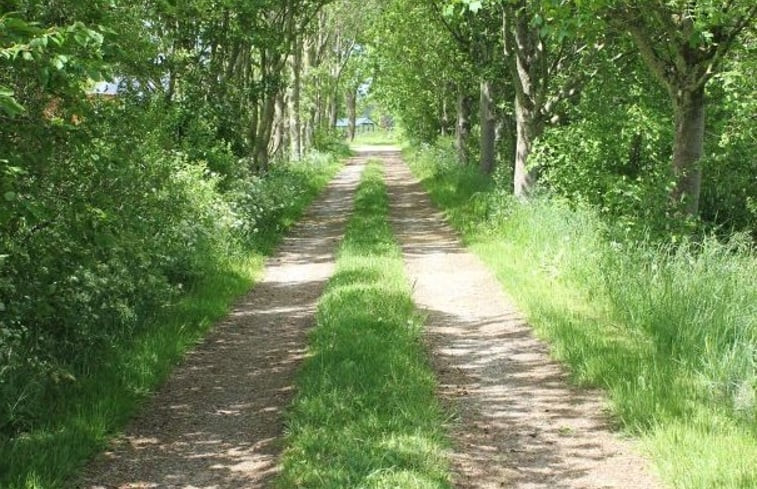 Natuurhuisje in Zuurdijk