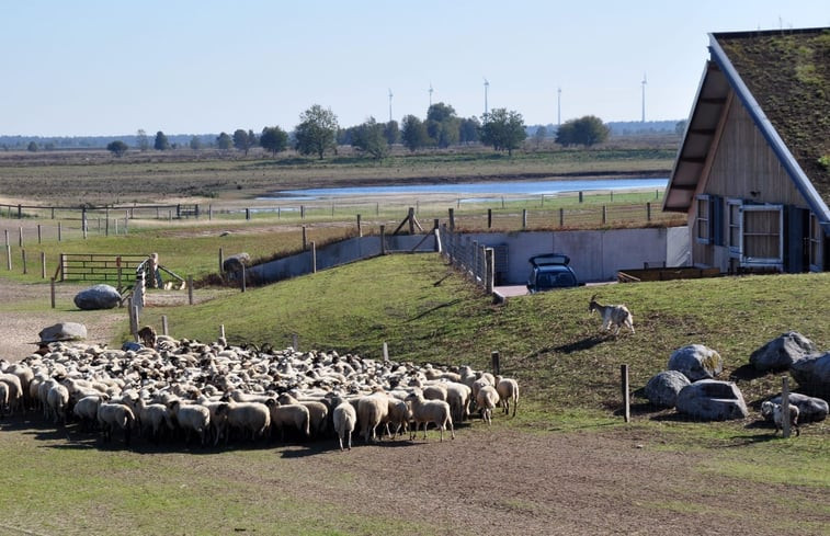 Natuurhuisje in Weiteveen