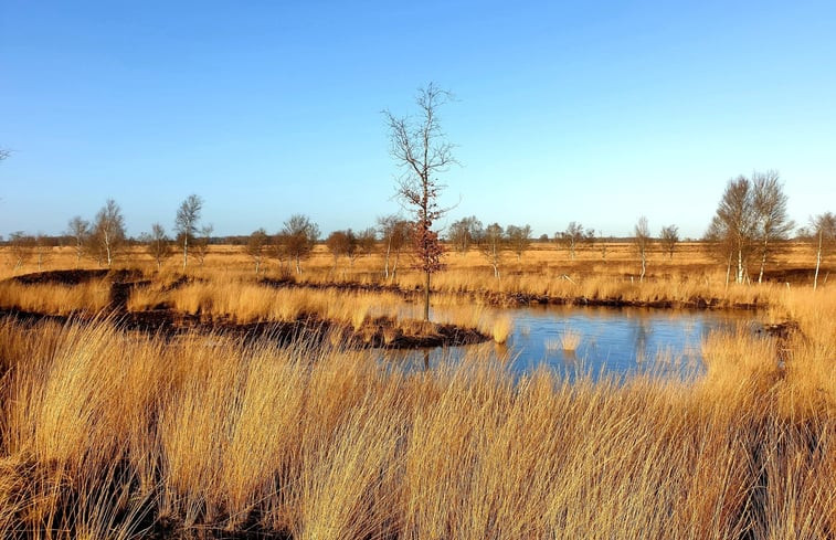 Natuurhuisje in Weiteveen