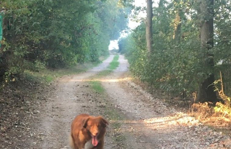 Natuurhuisje in Merselo