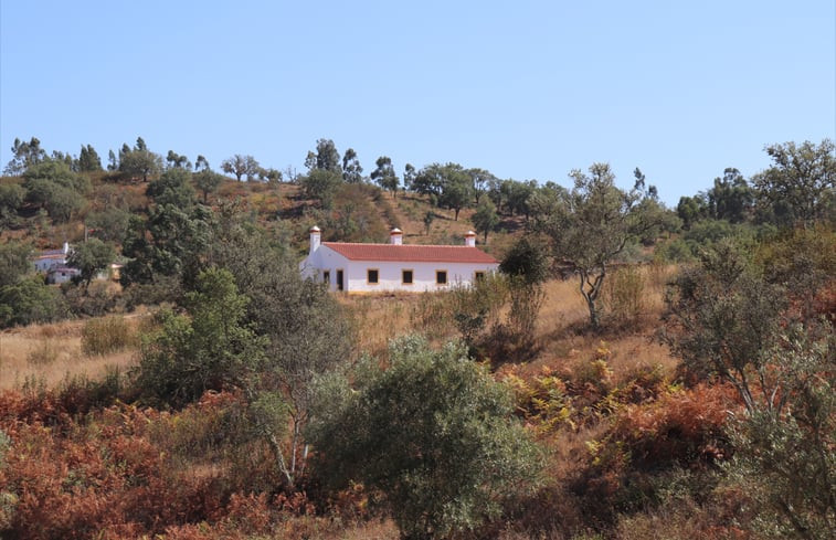 Natuurhuisje in Amoreiras-Gare