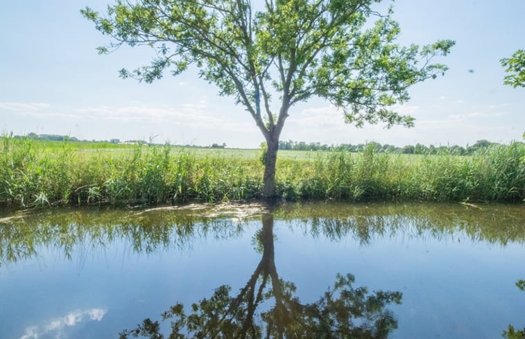 Natuurhuisje in Zeerijp