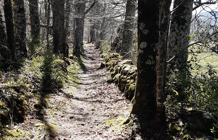 Natuurhuisje in Nages