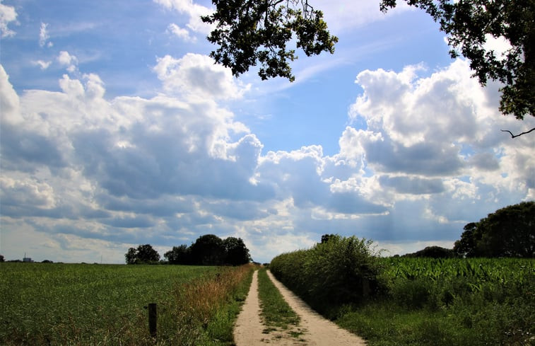 Natuurhuisje in Ambt Delden