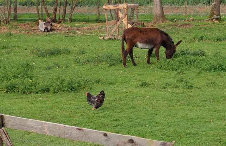 Natuurhuisje in Les Hays