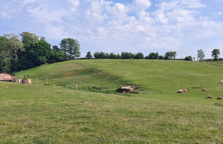 Natuurhuisje in tielt winge