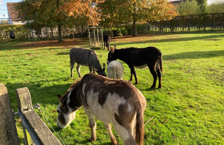 Natuurhuisje in Aalter