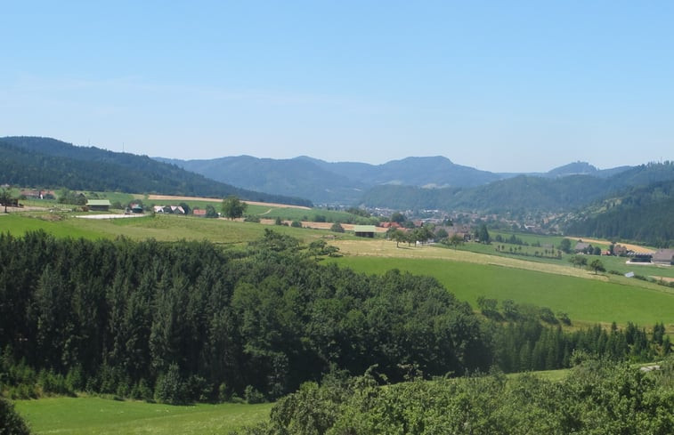 Natuurhuisje in Oberharmersbach