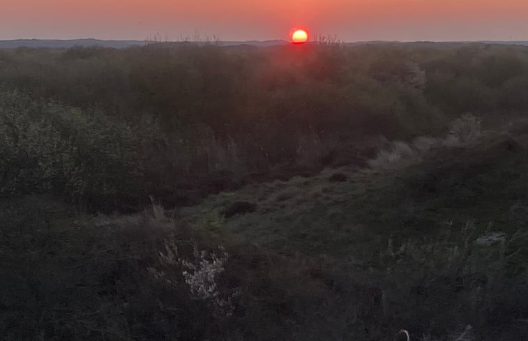 Natuurhuisje in Den Hoorn