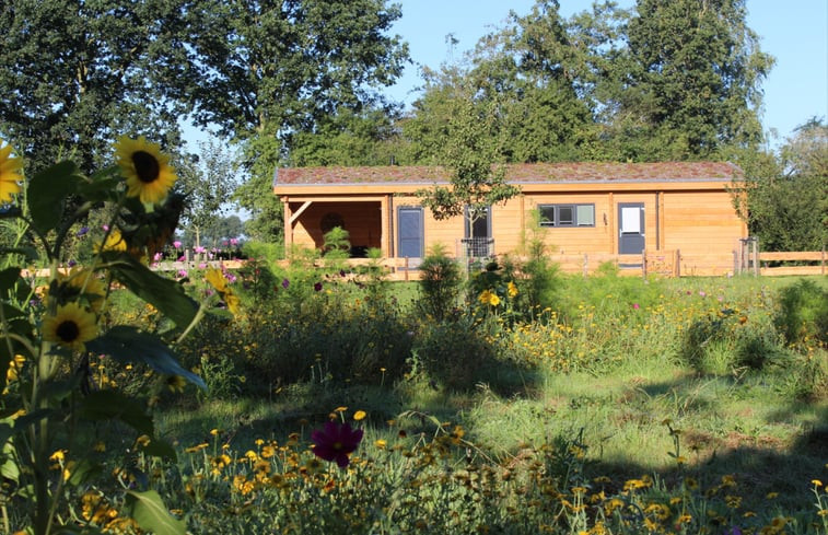 Natuurhuisje in Oldekerk