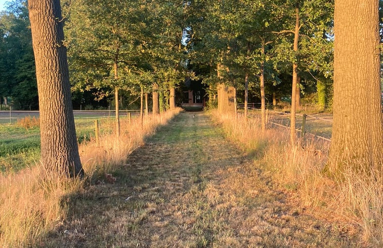 Natuurhuisje in Winterswijk