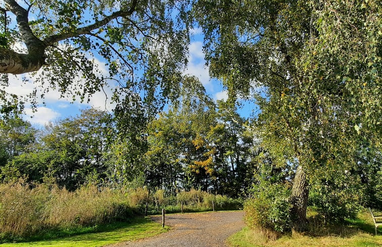 Natuurhuisje in Westergeest