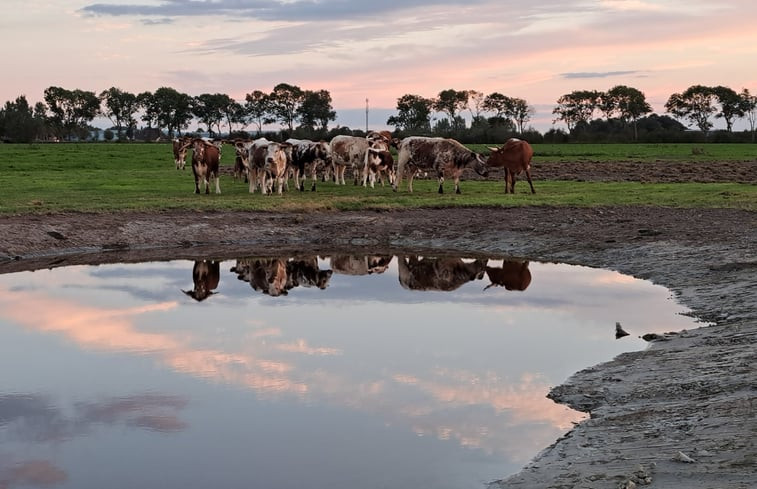 Natuurhuisje in Baaium