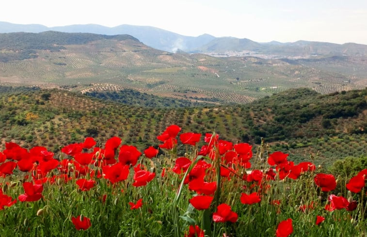 Natuurhuisje in Las Navas (Priego de Cordoba)