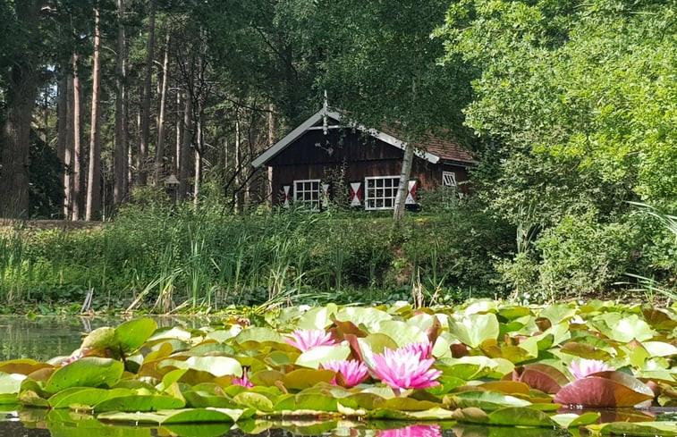 Natuurhuisje in Hellendoorn