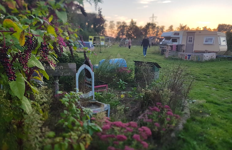 Natuurhuisje in Nederweert